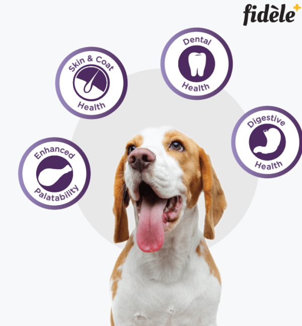 Fidele Plus Adult Small & Medium Dog Dry Food Cheap