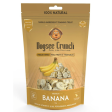 Dogsee Crunch Freeze Dried Banana Dog Treats For Sale