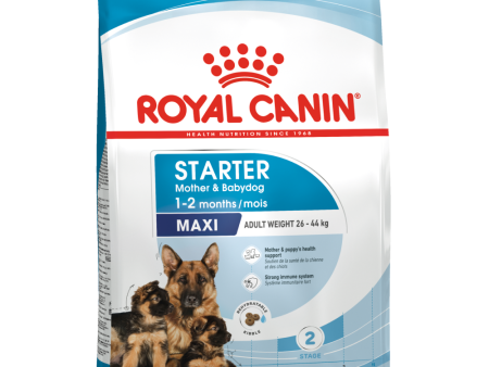 Royal Canin Maxi Starter Dog Dry Food Supply