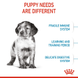 Royal Canin Medium Puppy Dog Dry Food Hot on Sale