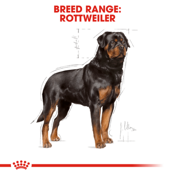 Royal Canin Rottweiler Adult Dog Dry Food Fashion