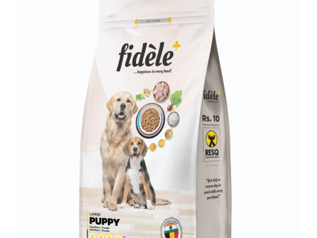 Fidele Plus Large Puppy Dry Food Online Hot Sale