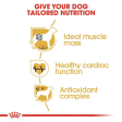 Royal Canin Boxer Adult Dog Dry Food Online